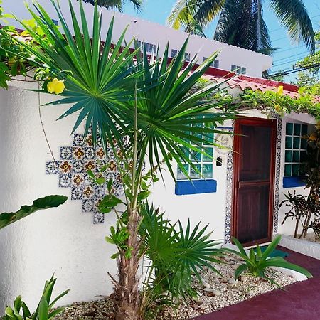 Beautiful & Cozy Studio In Akumal Paradise-Wifi, Ac Buitenkant foto