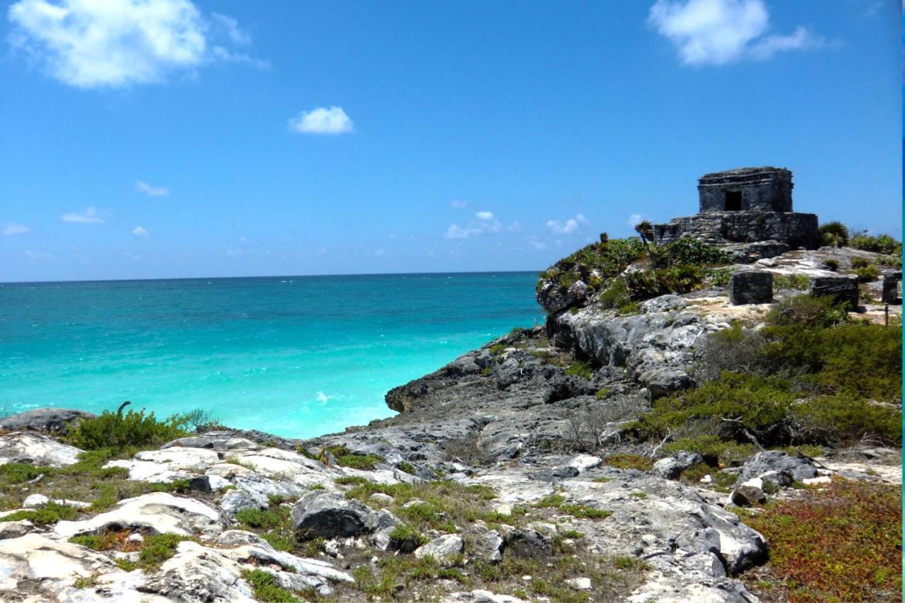 Beautiful & Cozy Studio In Akumal Paradise-Wifi, Ac Buitenkant foto
